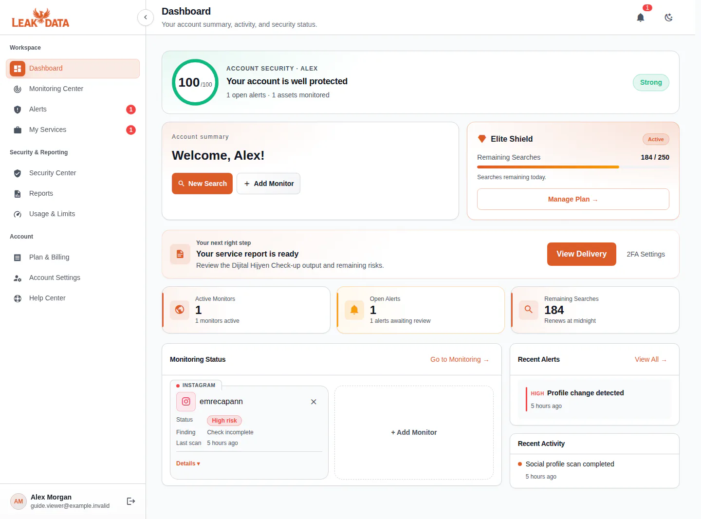 Light-mode example of the LeakData dashboard