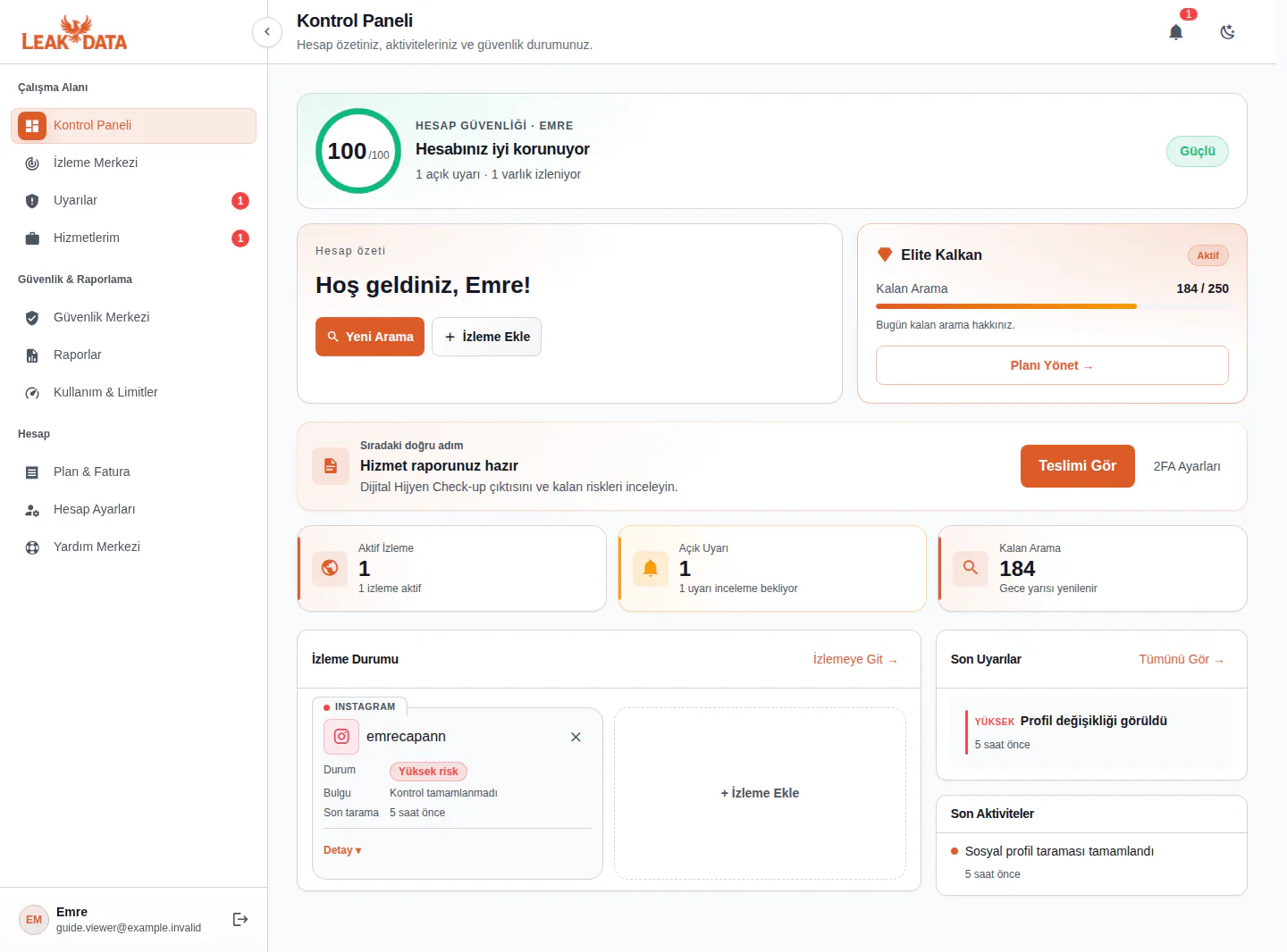 LeakData kontrol panelinin açık tema örneği