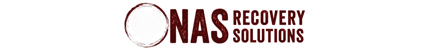 NAS Recovery Solutions 2026 Veri İhlali logosu