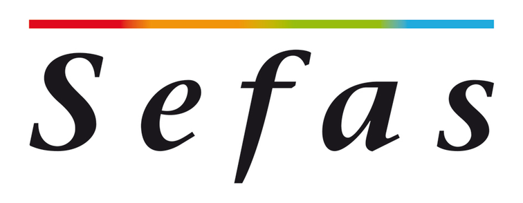 Sefas Innovation 2025 Veri İhlali logosu